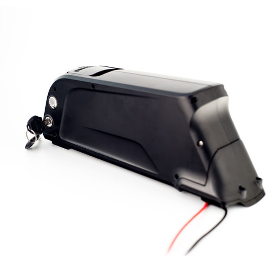 A Grade Cell 48V 10ah Lithium Battery for Electric Bike