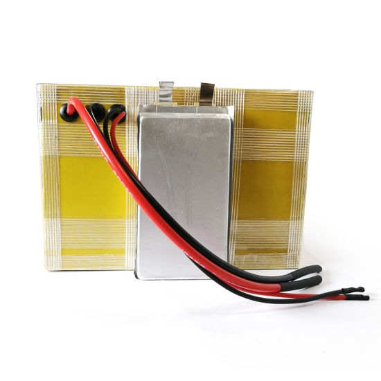 Custom Li-ion Ebike 52V 80ah Electric Bike Lithium Li Ion Battery Pack