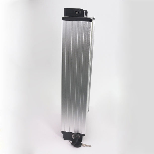 Rear Rack Type 48V 20ah Lithium Battery for Ebike