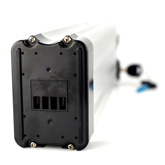 Li-Po Battery 48V12ah BMS and Charger for E-Bike