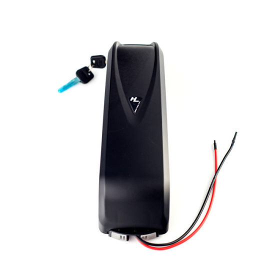48 Volt Ebike Battery 48V 15ah Electric Bike Battery for 750W Bike