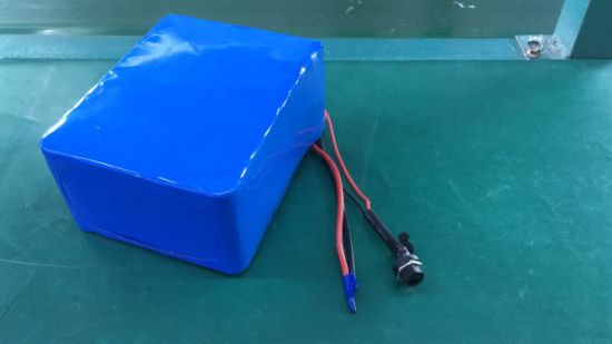 Wholesale Custom Lithium Batteries 24V 15ah for Electric Bike