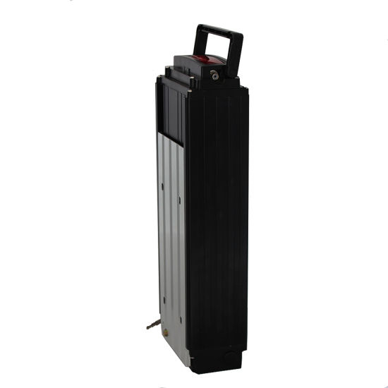 Lithium Battery Pack with LED Light for 1000W Motor