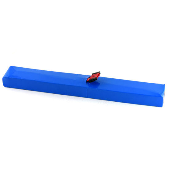 48V 10ah Rechargeable Lithium Ion Battery Pack