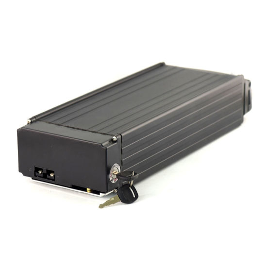 Customized Lithium Battery for 500W Electric Vehicle