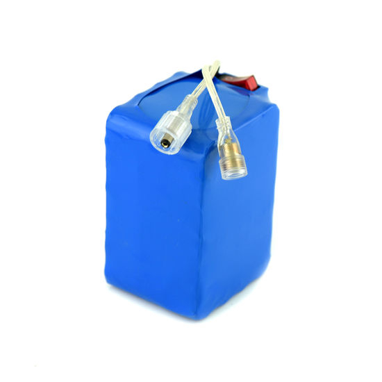 18650 Lithium Ion Battery Pack 6s4p for LED Light