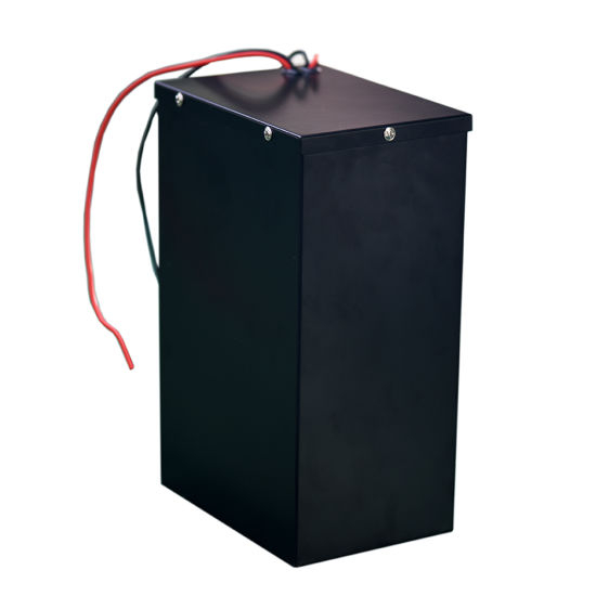 48V 40ah 1000W LiFePO4 Lithium Polymer Battery Pack for Electric Vehicles
