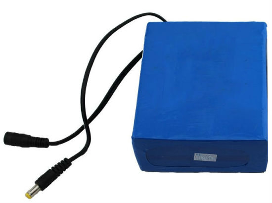 Customized High Power 36V 24ah Li Ion Electric Bike Battery Pack