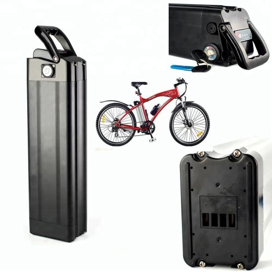Rechargeable Silver Fish Type 48V 12ah Electric Bicycle Battery with BMS Charger