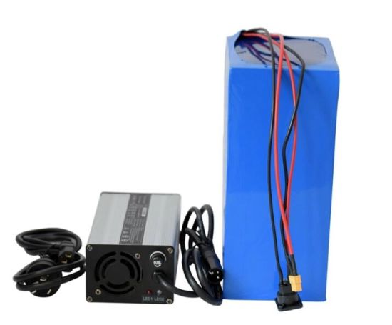 48V 40ah Rechargeable Lithium Polymer Battery for 1500W Electric Vehicles