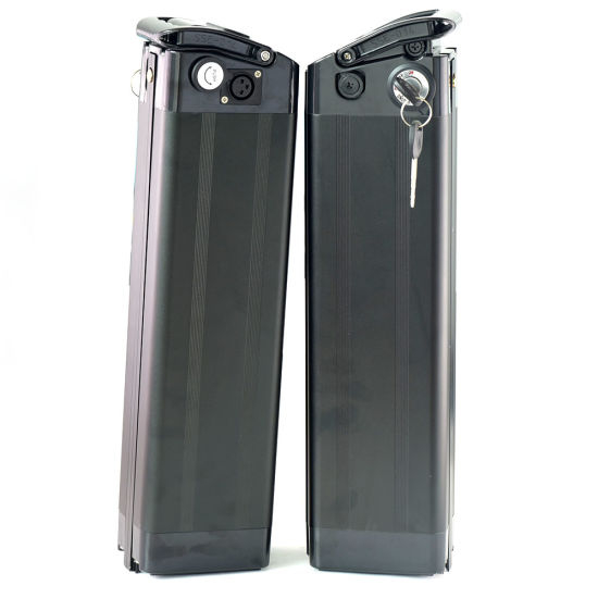 Customized 48V 15ah Lithium Ion Battery Silver Fish Type Bottom Discharge