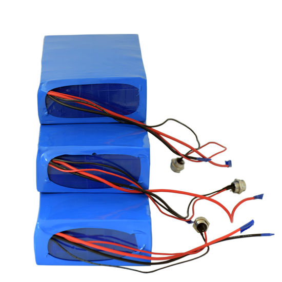 OEM Customized Lithium Ion Battery 48V 20ah 30ah 40ah Rechargeable Li-ion Battery