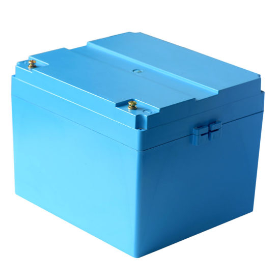 Bestseller 12V 100ah Deep Cycle LiFePO4 Battery Pack for Motor Home/ Marine Industry/Solar Panel