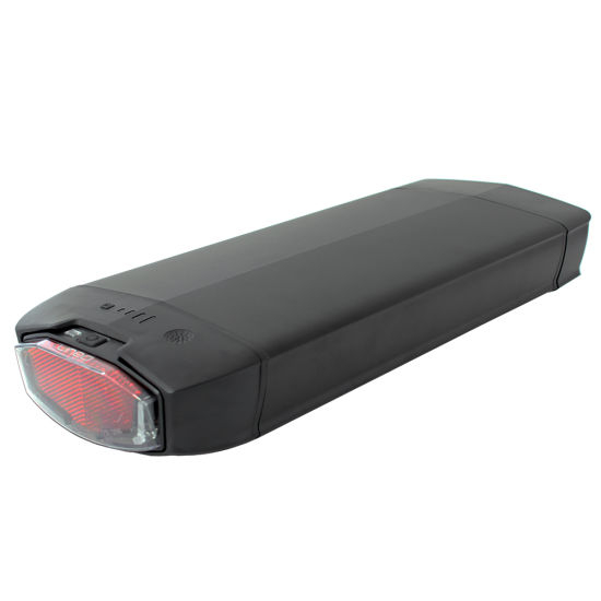 48V 20ah Li-ion Battery for Electric Bicycle with LED