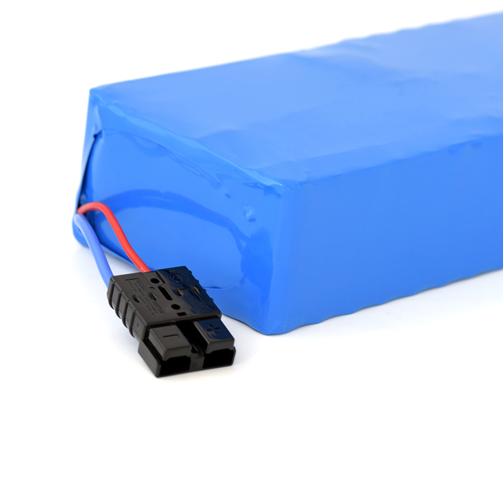 OEM LED Street Light Lithium Ion Battery 48V 20ah