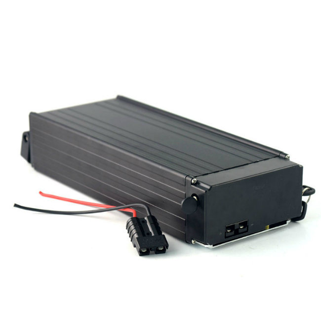 High Capacity 18650 Lithium Ion Brand Cells 48V 20ah Electric Bike Battery
