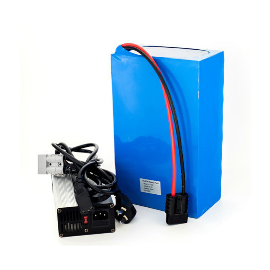 Customized High Power 36V 24ah Li Ion Electric Bike Battery Pack