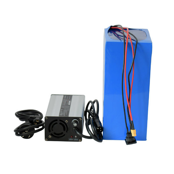 Deep Cycle LiFePO4 48V 20ah Battery Pack with Charger