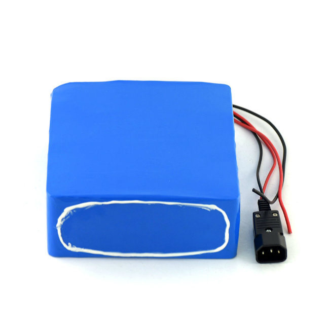 Customized 48V 15ah 750W Electric Vehicle Battery Pack