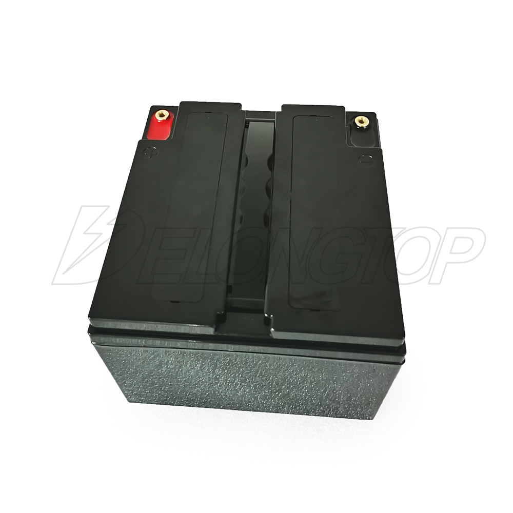 Factory Direct Customized Lithium LiFePO4 12V 25ah Battery Pack with BMS
