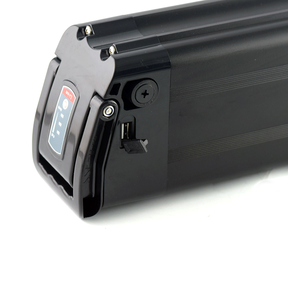 Electric Bike Lithium 20ah Replacement Ebike Battery Pack 48V