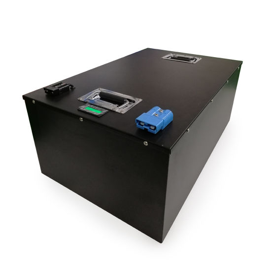 Deep Cycle Rechargeable Lithium Iron Phosphate Life LiFePO4 Battery 48V 200ah