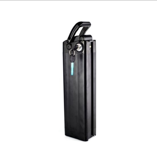 1500W 48V 30ah Electric Bike Battery High Power E-Bike 48 Volt Lithium Battery