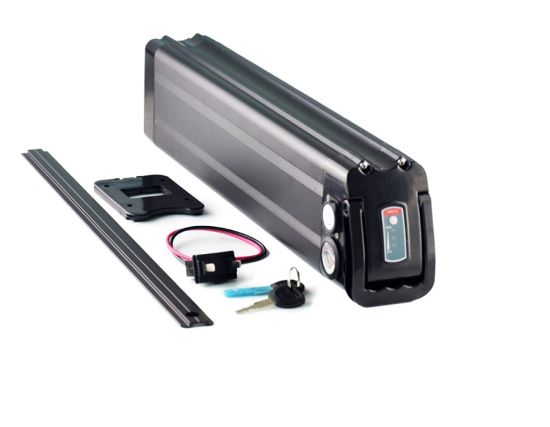 48V 20ah Silverfish Battery 48V 18ah Lithium Ion Battery Pack for 1000W Ebike Motor