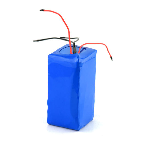 Deep Cycle 24V Custom Lithium Ion Battery Pack 20ah 18650 Rechargeable Lithium Battery Pack for E Bike