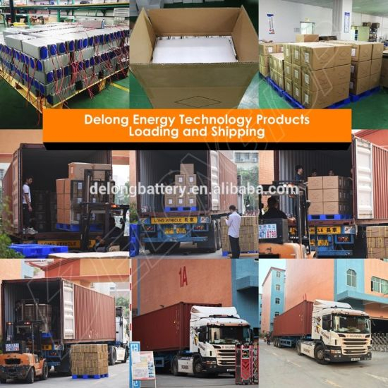 Ce MSDS Approved Deep Cycle Lithium LiFePO4 12V 10ah Deep Cycle Battery