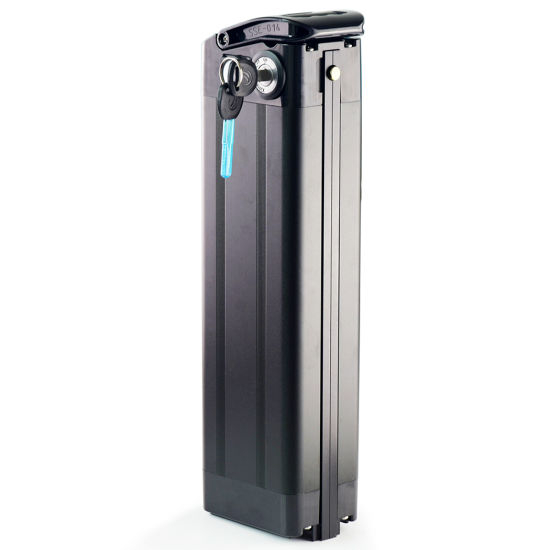 Ebike Battery Silver Fish 36V with Charger