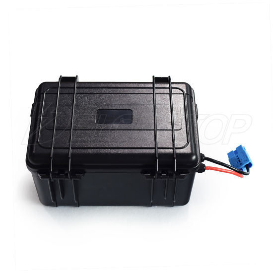 Rechargeable Lithium Battery 24V 100ah Deep Cycle LiFePO4 Battery