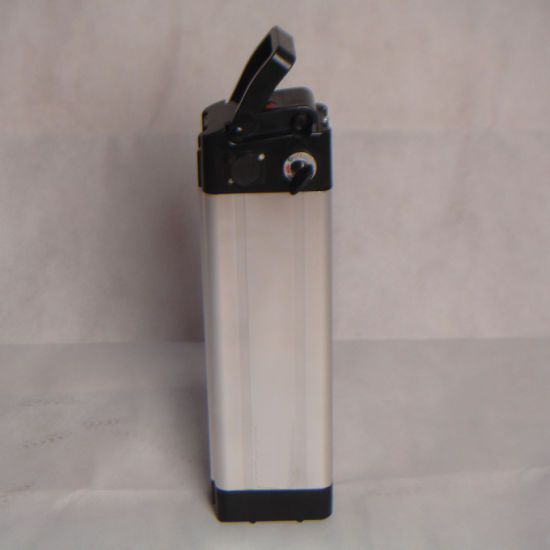 24V36V48V Battery Rechargeable Lithium Li-ion Electrical Electric Vehicle Scooter High Capacity