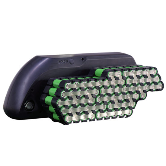 Wholesale Tiger Shark Lithium Battery Pack for 500W Electric Bicycle