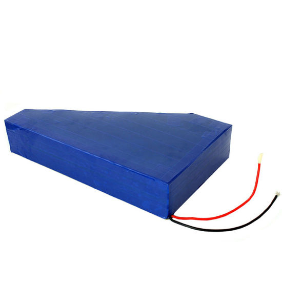 Customized Lithium Battery Pack 48V 20ah China Manufacturer