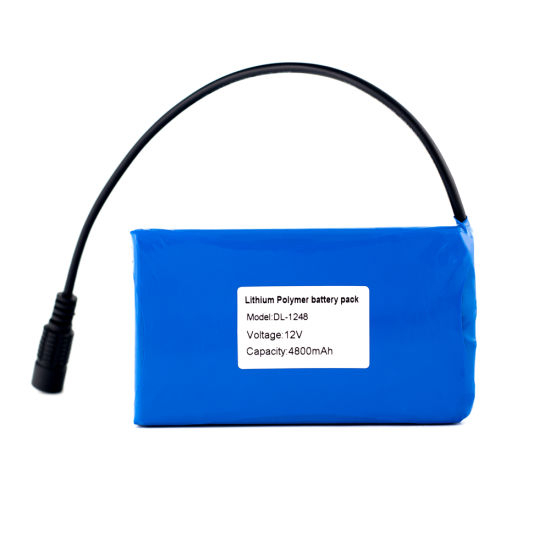 12V 4800mAh Rechargeable Lithium Polymer Battery Pack