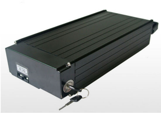 48V 20ah Lithium Ion Battery Pack for Electric Bike/ Vehicle