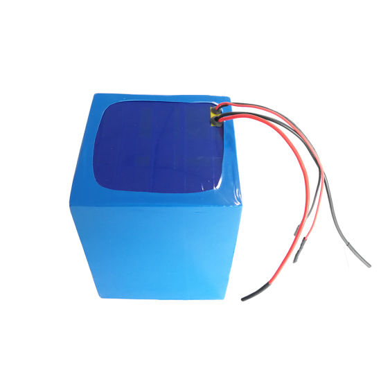 Lithium Ion Battery Pack 48V 20ah with BMS for Electric Bike Motorcycle Scooter Golf Cart