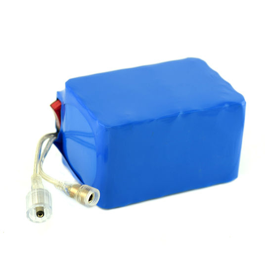 18650 Lithium Ion Battery Pack 6s4p for LED Light