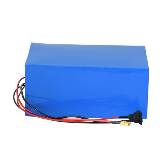 Rechargeable LiFePO4 Battery 48V 40ah for LED Bulb