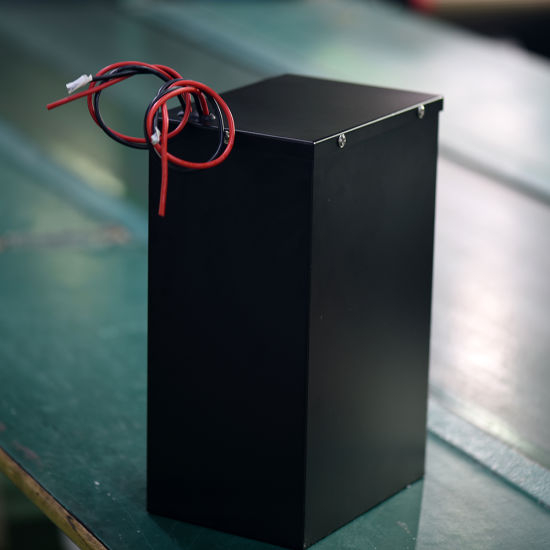 48V 40ah 1000W LiFePO4 Lithium Polymer Battery Pack for Electric Vehicles