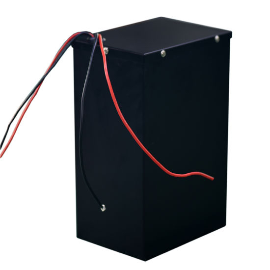 48V 40ah 1000W LiFePO4 Lithium Polymer Battery Pack for Electric Vehicles