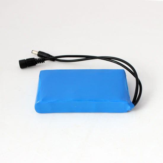 12V Portable Rechargeable 4000mAh Customized Lithium Battery Pack