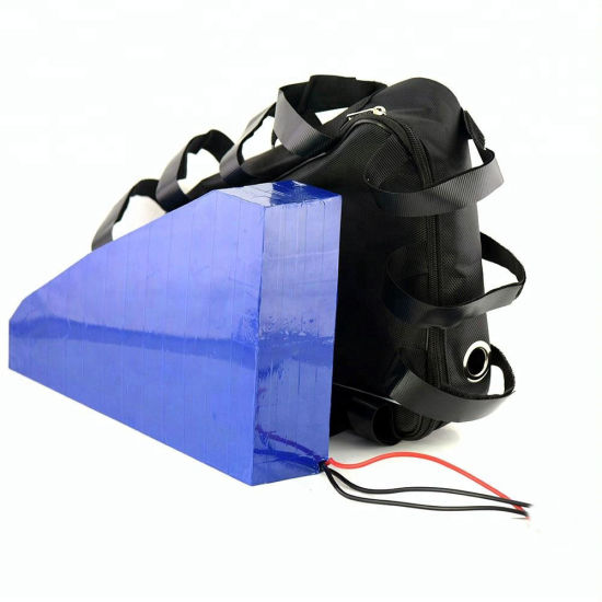 Rechargeable Triangle Type 48V 20ah 18650 Battery Lithium Battery Pack for Electric Car Motorcycle