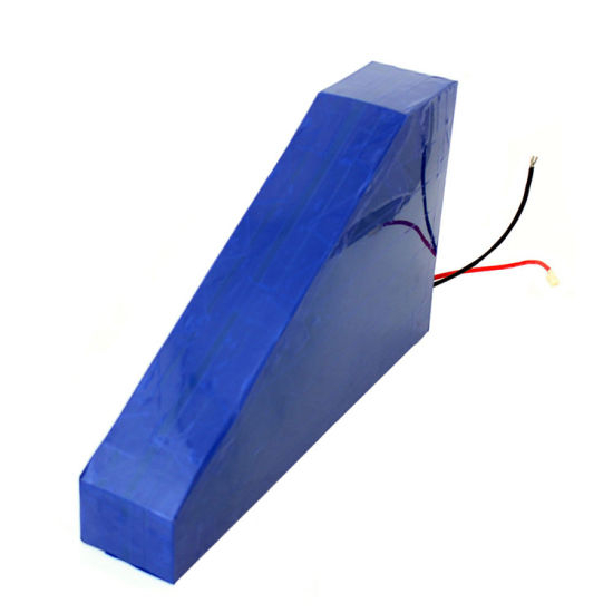 48V 15ah Lithium Ion Battery with Charger for 1000W Motor Bike