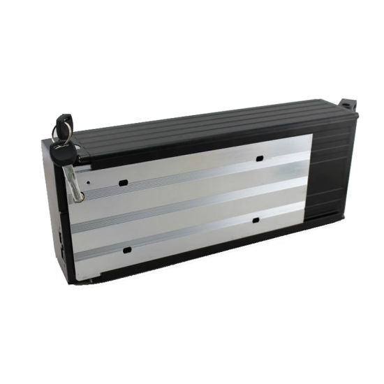 1000W Electric Scooters Ebike Lithium Ion Battery 48V 20ah
