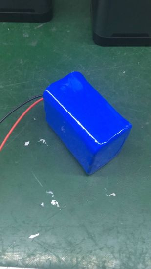 Rechargeable Small Li-ion Battery 12V 4000mAh