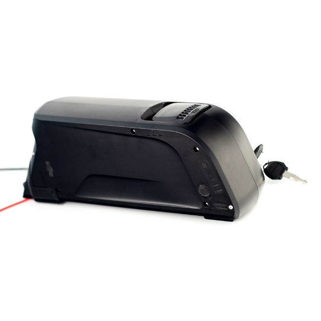 Long Life Cycle Dolphin Type 48V 10ah Lithium Ion Battery Pack for E-Bike Electric Bicycle Battery