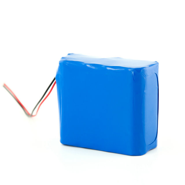 24V 12ah 6s5p Recharegeable Li Ion Battery Pack with Case