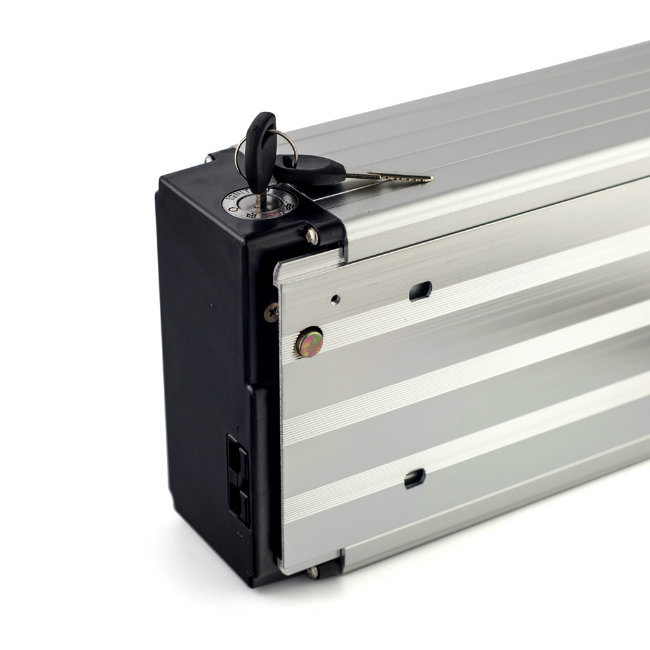 High Capacity 18650 Lithium Ion Brand Cells 48V 20ah Electric Bike Battery